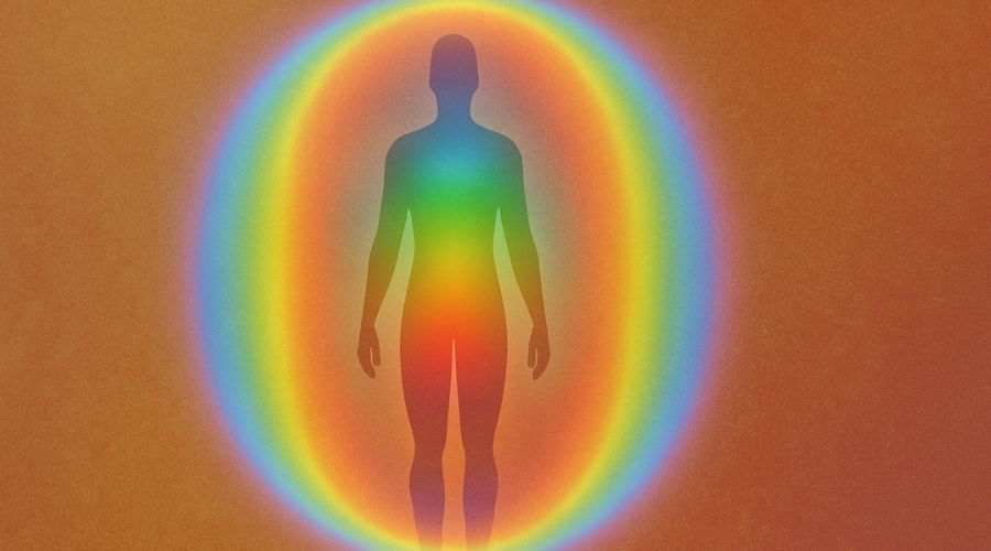 rainbow body