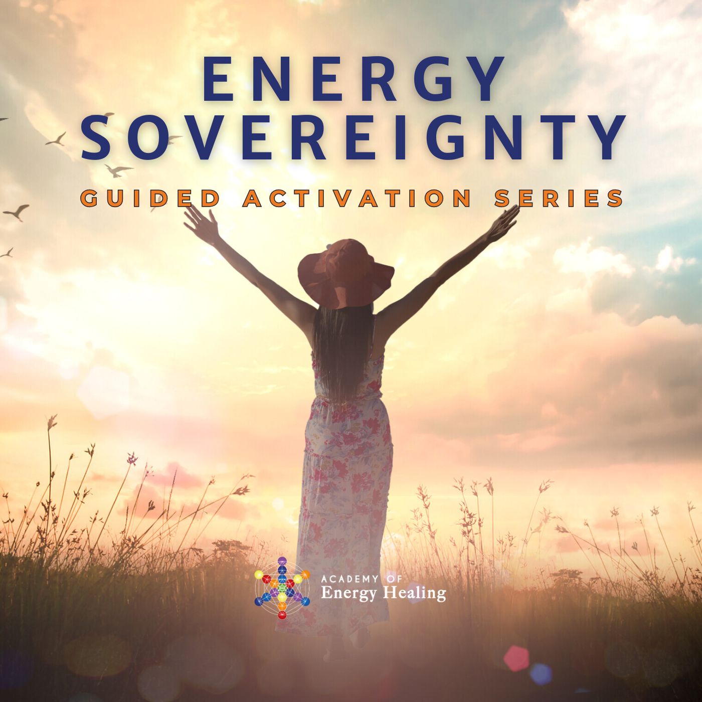 Energy Sovereignty Activation Series